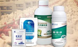 中獸藥行業(yè)全景調(diào)研 中獸藥市場投資機(jī)遇及規(guī)模預(yù)測(cè)