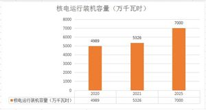 2022中國核電行業(yè)市場現(xiàn)狀分析 中國核電行業(yè)競爭狀態(tài)?