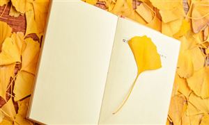 行業(yè)深度調研 2022銀杏葉提取物行業(yè)市場需求及前景分析