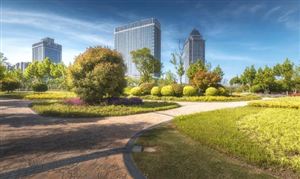 中國城市公園規(guī)劃建設(shè)行業(yè)市場(chǎng)前瞻 城市公園規(guī)劃建設(shè)行業(yè)數(shù)量分析