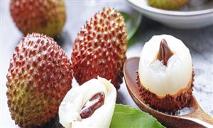 2022年荔枝果樹行業(yè)現(xiàn)狀及發(fā)展前景分析研究報(bào)告
