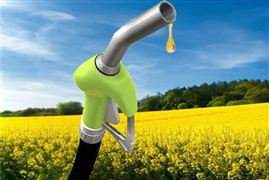 美國豆油的生物柴油消費(fèi)量下調(diào) 2023全球生物柴油消費(fèi)增量預(yù)期報告