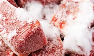2023冷凍牛肉行業(yè)發(fā)展趨勢(shì)及投資潛力分析