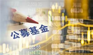 公募基金行業(yè)深度調(diào)研 公募基金行業(yè)發(fā)展現(xiàn)狀及未來發(fā)展趨勢