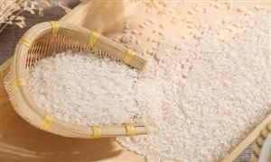 大米加工行業(yè)分析 大米加工行業(yè)發(fā)展前景及趨勢分析2023
