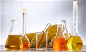 2023生物能源產(chǎn)業(yè)調(diào)研及生物能源行業(yè)未來發(fā)展趨勢預測