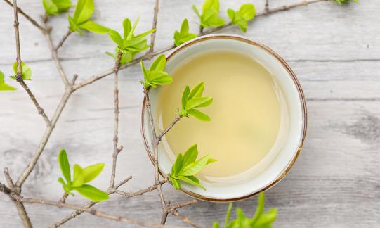 我國速溶茶產(chǎn)業(yè)現(xiàn)狀與技術(shù)現(xiàn)狀 速溶茶行業(yè)市場深度調(diào)研2023