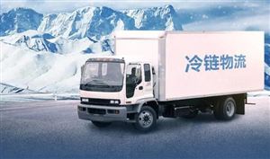 2023冷鏈物流行業(yè)數(shù)字化發(fā)展趨勢分析
