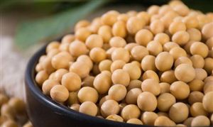 國內(nèi)豆粕等飼料價(jià)格開始新一輪降價(jià) 大豆行業(yè)市場深度調(diào)研及發(fā)展前景分析2023