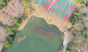 體育地產(chǎn)行業(yè)發(fā)展模式 中國(guó)體育地產(chǎn)行業(yè)市場(chǎng)發(fā)展前景分析
