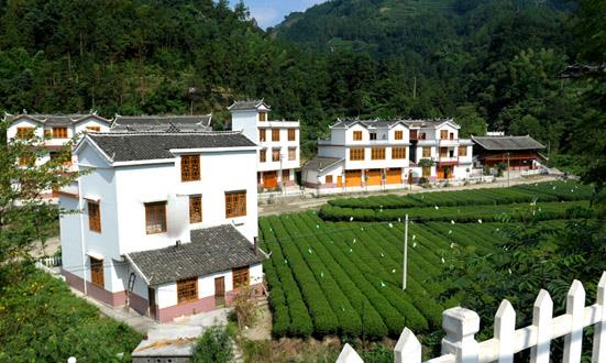 新農(nóng)村建設(shè)行業(yè)發(fā)展機遇 新農(nóng)村建設(shè)行業(yè)發(fā)展現(xiàn)狀及前景分析