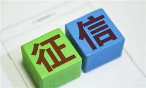 征信服務(wù)行業(yè)市場全景調(diào)研 征信服務(wù)行業(yè)市場現(xiàn)狀及發(fā)展趨勢