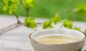 2023茶多酚行業(yè)市場深度分析及發(fā)展前景分析