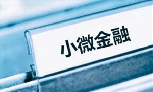 2023年小微金融行業(yè)發(fā)展展望 小微金融產(chǎn)業(yè)發(fā)展現(xiàn)狀及趨勢分析