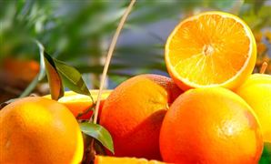 維生素行業(yè)市場需求 2023維生素行業(yè)價格走勢分析