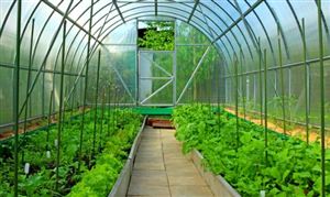 2023蔬菜種植行業(yè)市場深度調(diào)研及行業(yè)前景預(yù)測