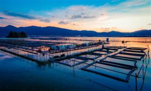 中國海洋漁業(yè)市場運行現(xiàn)狀深度分析2023