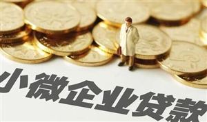 中小企業(yè)貸款行業(yè)發(fā)展規(guī)劃 中小企業(yè)貸款行業(yè)市場運行現(xiàn)狀及投資分析