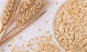 燕麥行業(yè)市場(chǎng)需求 燕麥種植行業(yè)投資價(jià)值
