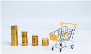 消費金融行業(yè)市場發(fā)展深度調(diào)研2023