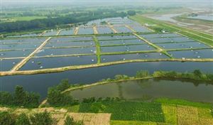 2023年水產(chǎn)養(yǎng)殖行業(yè)市場投資風(fēng)險分析 水產(chǎn)養(yǎng)殖行業(yè)集中度會進一步提升