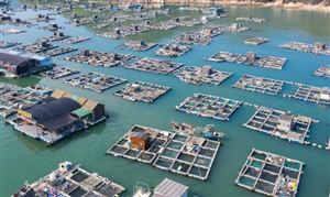 中國海水養(yǎng)殖行業(yè)發(fā)展前景分析報(bào)告2023