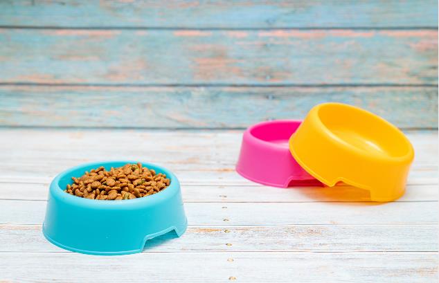 寵物飼料進口需求大幅增加 2025年我國寵物市場規(guī)模將達八千億元