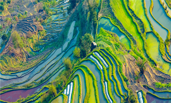 2023農(nóng)業(yè)機(jī)械設(shè)備行業(yè)現(xiàn)狀與市場發(fā)展前景趨勢分析
