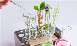 農(nóng)業(yè)生物技術(shù)是指什么?農(nóng)業(yè)生物技術(shù)發(fā)展現(xiàn)狀如何?