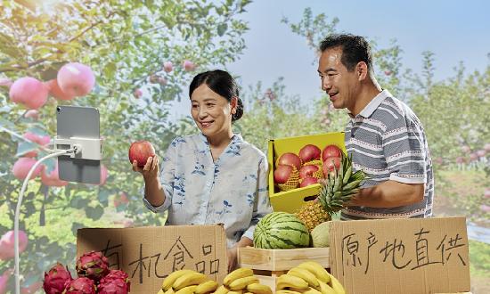 中國(guó)農(nóng)貿(mào)電商平臺(tái)行業(yè)發(fā)展分析與投資前景預(yù)測(cè)報(bào)告2023