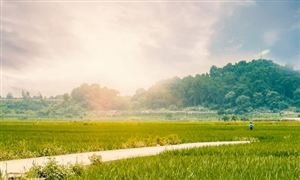 中國(guó)康養(yǎng)旅游行業(yè)發(fā)展現(xiàn)狀分析 中國(guó)康養(yǎng)旅游行業(yè)投資潛力分析2023