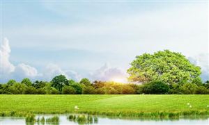 氫能源行業(yè)市場(chǎng)調(diào)研 2023年鄭州市氫能源行業(yè)現(xiàn)狀及發(fā)展前景分析