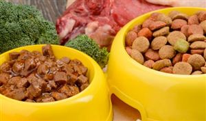 2023年寵物食品的新品類趨勢(shì)洞察 寵物食品行業(yè)深度分析2023