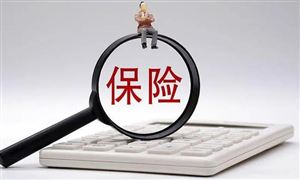 信用保險行業(yè)未來投資方向 信用保險行業(yè)發(fā)展前景投資分析