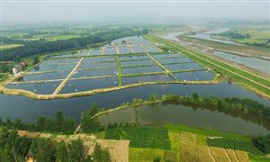 海鮮行業(yè)市場現(xiàn)狀深度分析2023