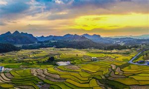 一季度農(nóng)業(yè)農(nóng)村經(jīng)濟運行情況：穩(wěn)步提升糧食產(chǎn)能 全面推進鄉(xiāng)村振興