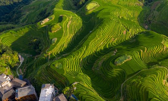 中國特色農(nóng)業(yè)旅游行業(yè)消費(fèi)需求 中國特色農(nóng)業(yè)旅游行業(yè)發(fā)展趨勢預(yù)測