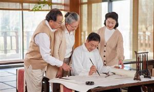 智慧養(yǎng)老行業(yè)市場深度分析報告2023