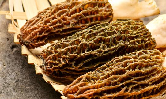 2023年羊肚菌種植產業(yè)發(fā)展現(xiàn)狀