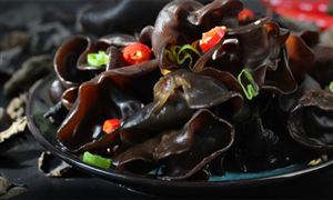 黑木耳行業(yè)市場(chǎng)前景如何 黑木耳行業(yè)投資潛力分析