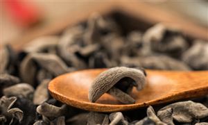 木耳行業(yè)報(bào)告：木耳行業(yè)供需格局及前景展望