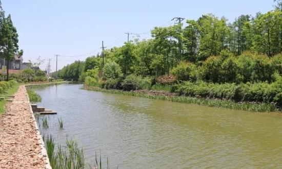 河道整治市場(chǎng)全景調(diào)研及投資分析