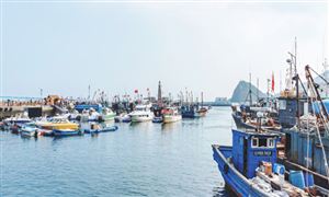 海洋運(yùn)輸行業(yè)調(diào)研 海洋運(yùn)輸行業(yè)發(fā)展分析2023
