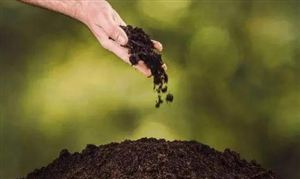 2023微生物肥料行業(yè)發(fā)展前景投資研究