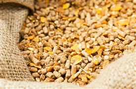 2023飼料添加劑行業(yè)發(fā)展現(xiàn)狀與趨勢分析