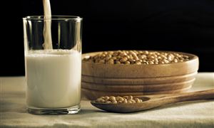 豆奶行業(yè)現(xiàn)狀深度分析及豆奶市場(chǎng)投資前景分析