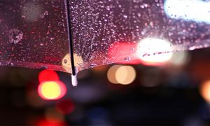 國(guó)內(nèi)雨傘行業(yè)市場(chǎng)現(xiàn)狀及未來(lái)發(fā)展趨勢(shì)