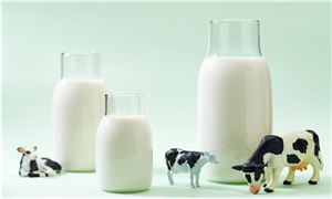 蒙牛乳業(yè)寧夏工廠正式落成投產(chǎn) 為全球首座乳業(yè)全數(shù)智化工廠