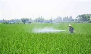 2023年中國生物農(nóng)業(yè)行業(yè)發(fā)展分析