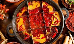 火鍋底料市場(chǎng)投資前景分析 中國火鍋底料行業(yè)重點(diǎn)企業(yè)分析